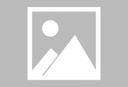 新新漫画手机版,畅享海量精彩漫画，随时随地轻松阅读